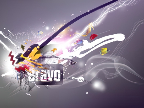 Bravo Network Rebrand